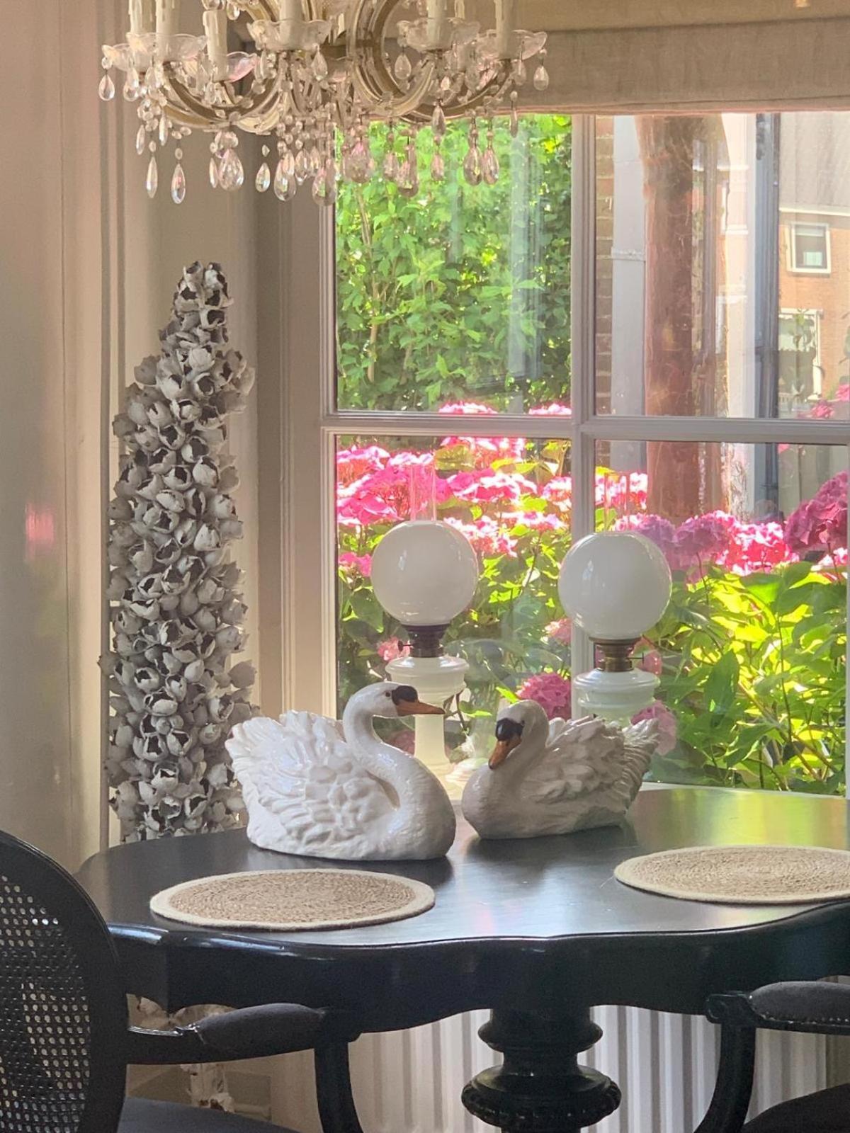 "Het Steechje" In Ie Bij Schiermonnikoog En Ameland Apartment Ee Ngoại thất bức ảnh
